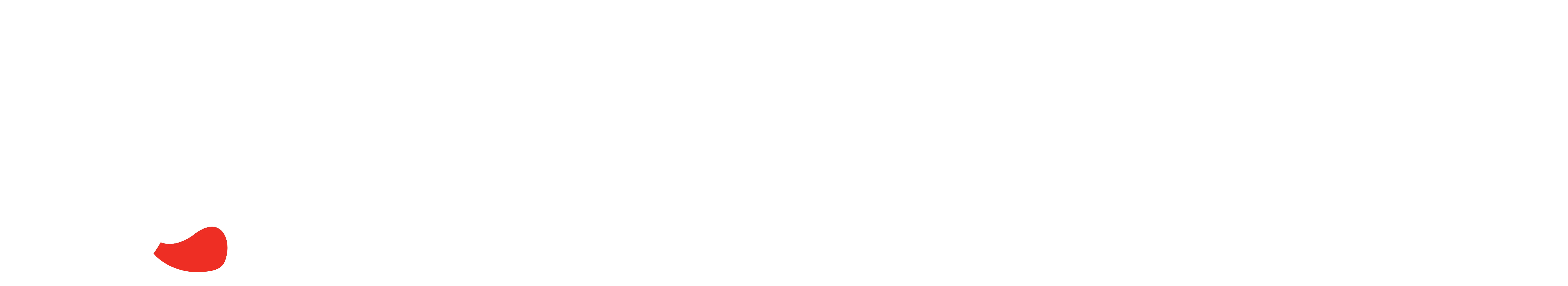 Maxi Zoo