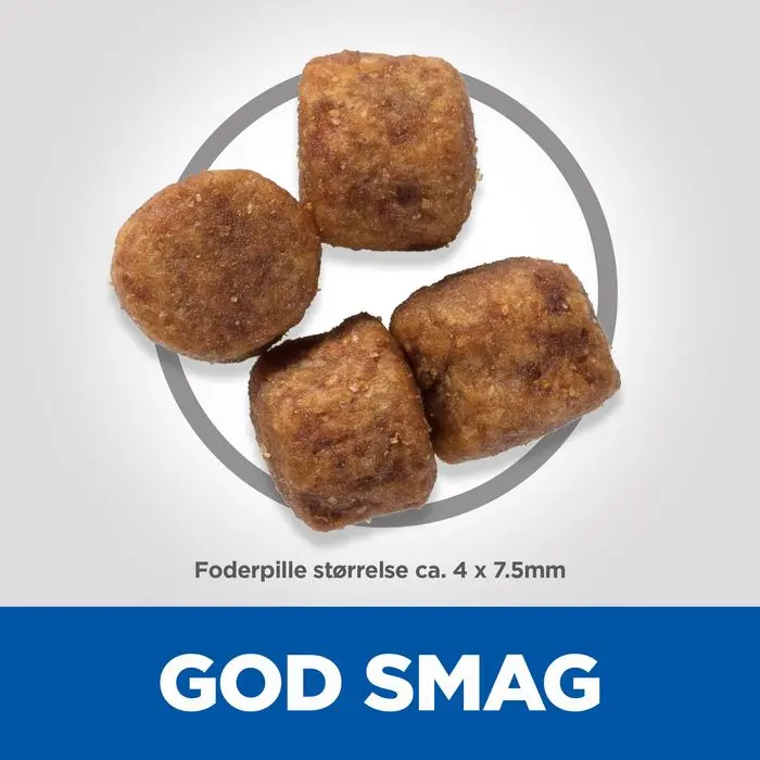 Miniaturebillede 2