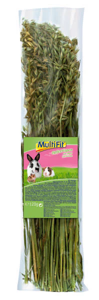 Miniaturebillede 1